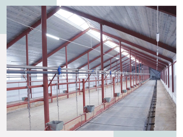 Строительство коровников в Сибае от 617 руб.