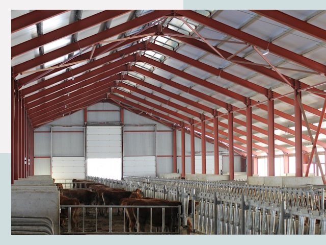 Строительство коровников в Сибае