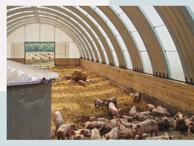 Строительство свинарников в Сибае