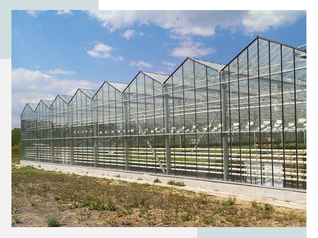 Строительство теплиц в Сибай от 617 руб. за м²